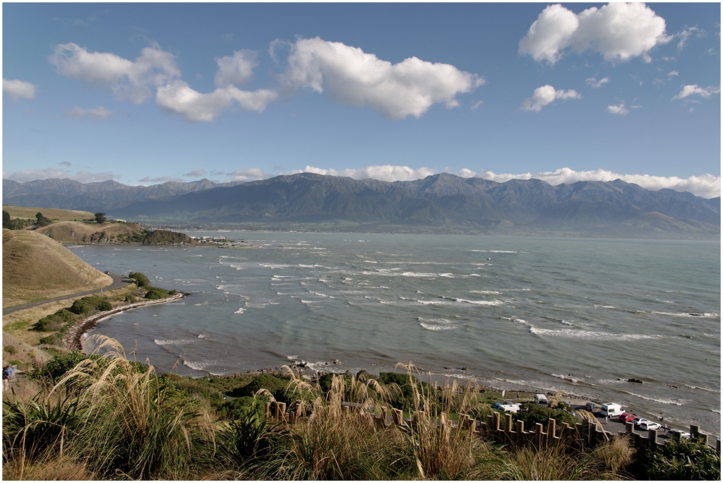 14 - Kaikoura (00).jpg